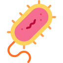 bactérias
