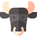 Taurus