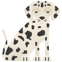 dalmatien