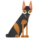 doberman