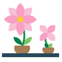 Flower pot