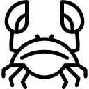 Crab