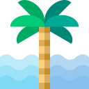 Palm tree