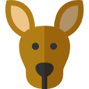 känguru
