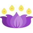 lotusbloem