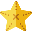 gwiazda morska
