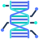 dna