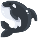 balena assassina