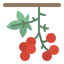 beeren