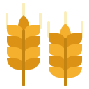 blé