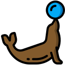 Sea lion