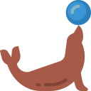 zeeleeuw