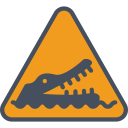 Crocodiles