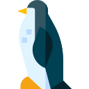 pinguino