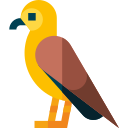 águila