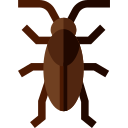 Cucaracha