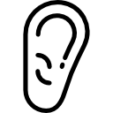 Ear