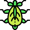 owad liściasty