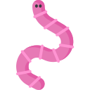 Worm