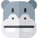 Hippopotamus