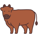 vache