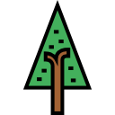 Pine