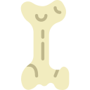 femur