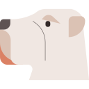honden