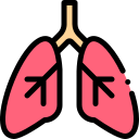 Pulmones