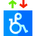 Disabled people