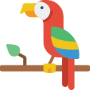 papuga