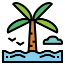 Palm tree