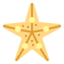 Starfish