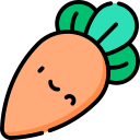 Carrot