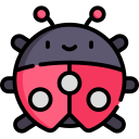 Ladybug