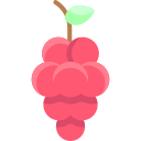 druiven