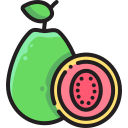 Guava