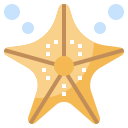 Estrelas do mar