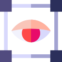 Eye