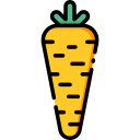 Carrot