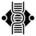 structure de l'adn