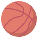 pallacanestro