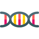 La estructura del ADN