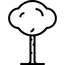 albero