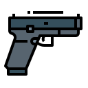 Gun