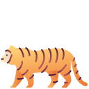 tijger