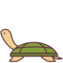 tortue