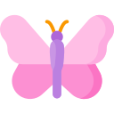 jedwabny motyl