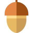 Acorn