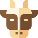mucca